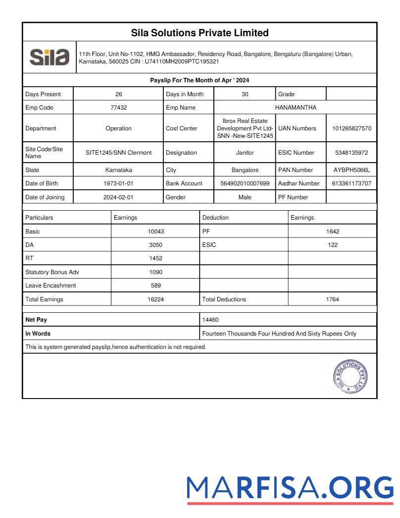 Blank Sila Solutions payslip real example